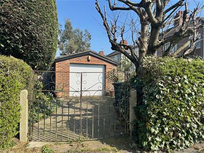 Picture 4
